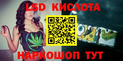 apvp Ярославль