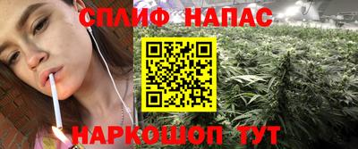 apvp Ярославль