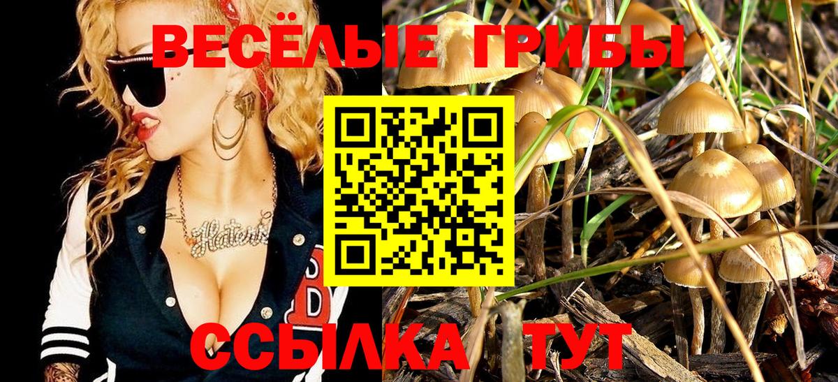 где можно купить   Вход с VPN  Ахтубинск  Галлюциногенные грибы прущие грибы 